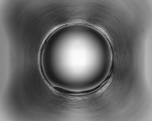 X0000094381438200711021218