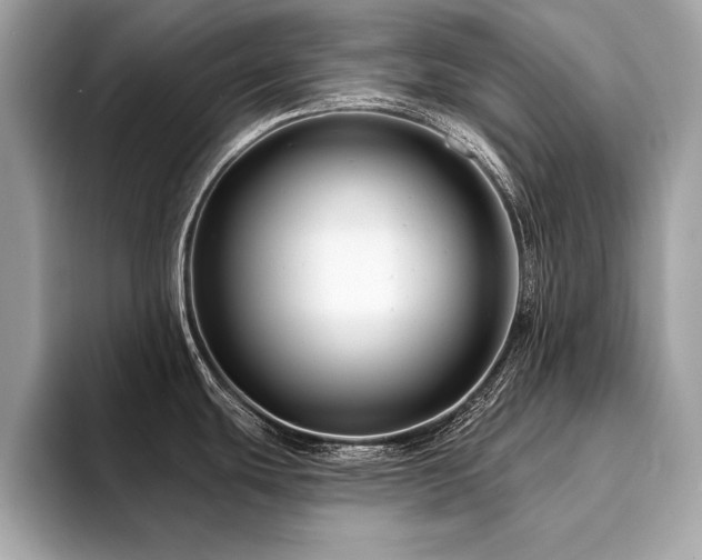 X0000094381439200711021218