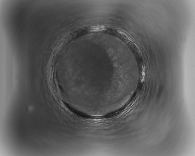 X0000094381441200711021217