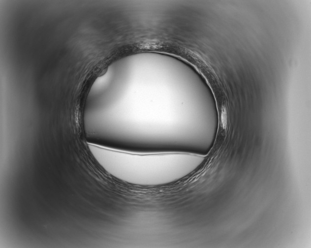 X0000094381444200711021217