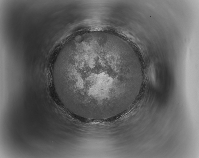 X0000094381446200711021217