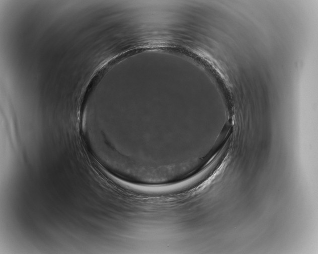 X0000094381449200711021217