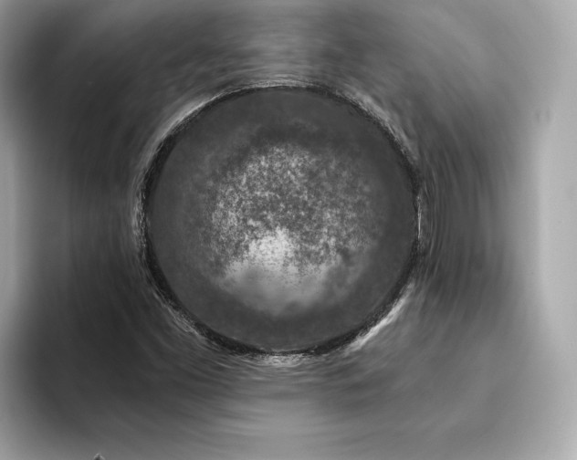 X0000094381453200711021217