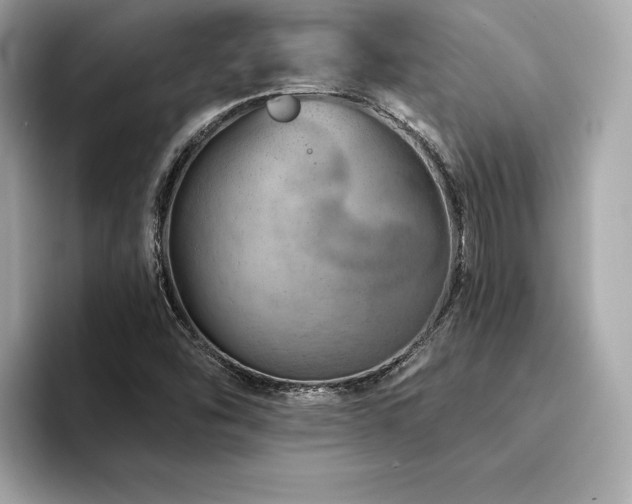 X0000094381454200711021217