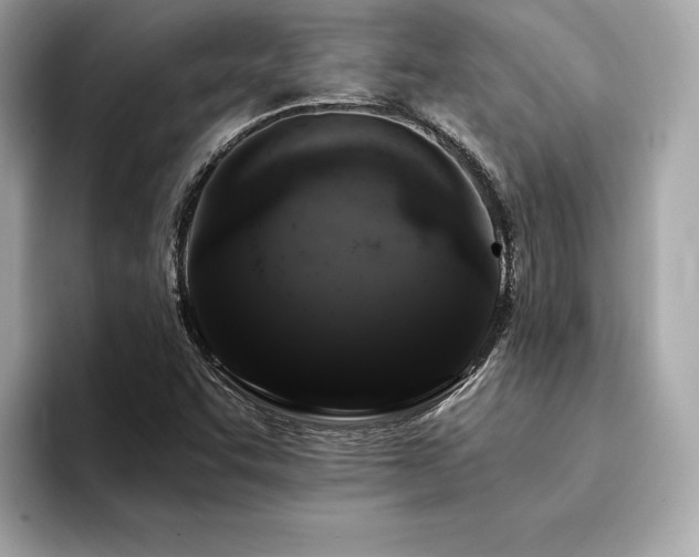 X0000094381455200711021217