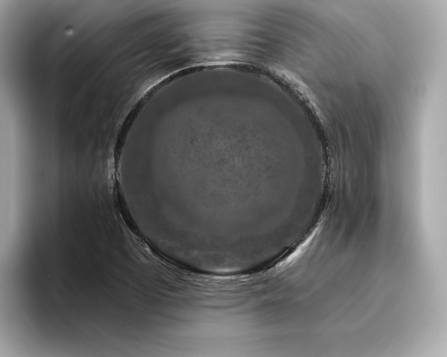 X0000094381457200711021217