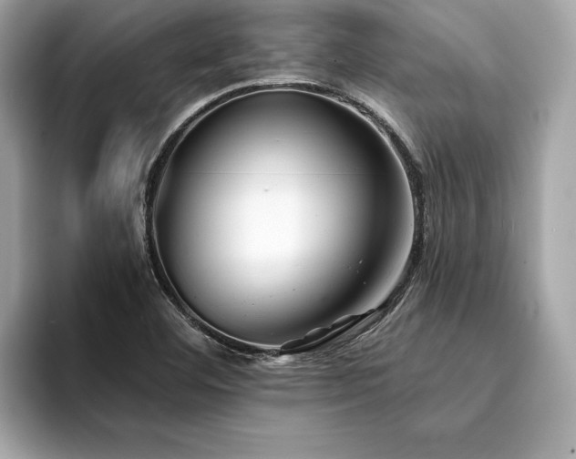 X0000094381460200711021217