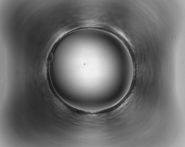 X0000094381463200711021217