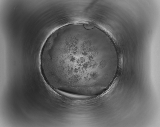 X0000094381471200711021217