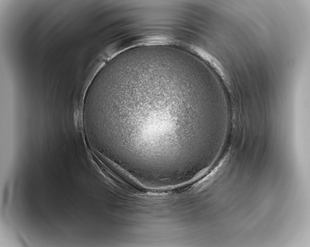 X0000094381473200711021217