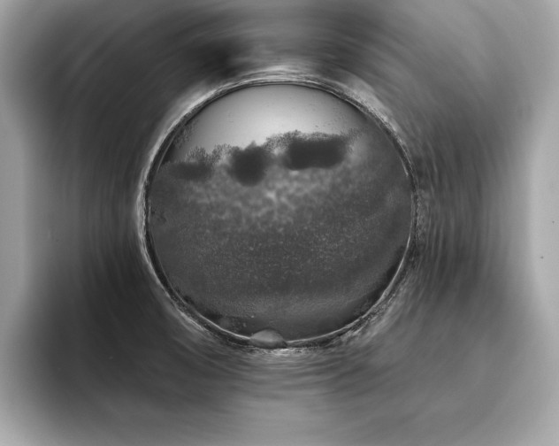 X0000094381474200711021217