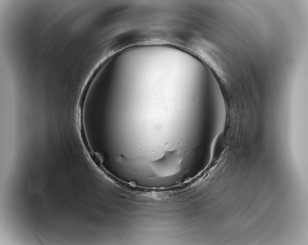 X0000094381476200711021217