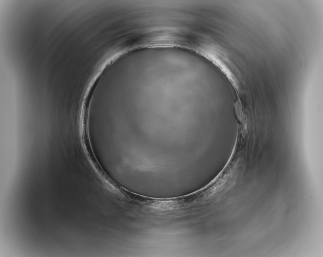 X0000094381477200711021217