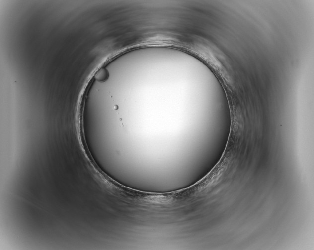 X0000094381478200711021217