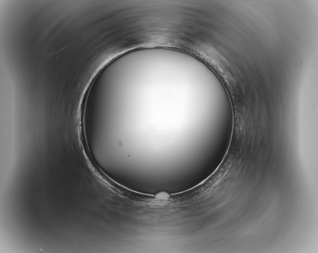 X0000094381479200711021217