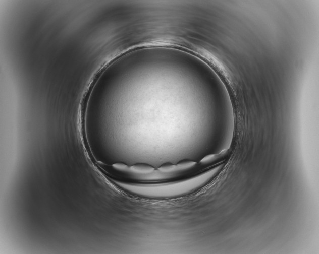 X0000094381480200711021217