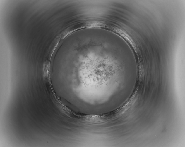 X0000094381481200711021217