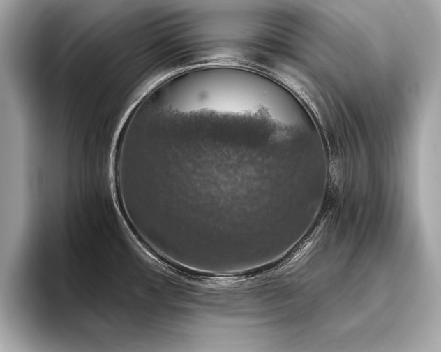 X0000094381482200711021217