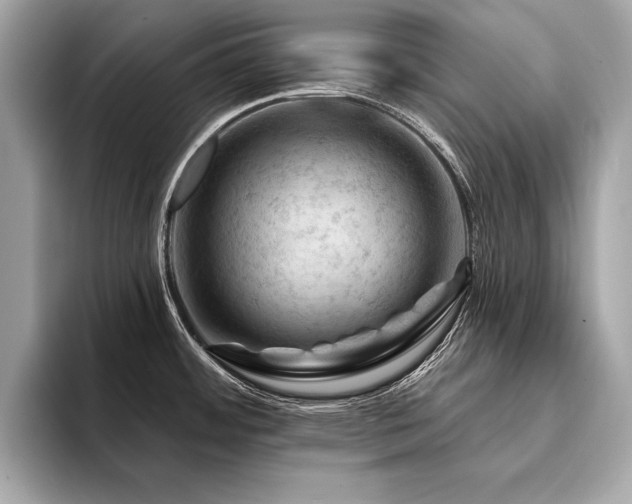 X0000094381484200711021217