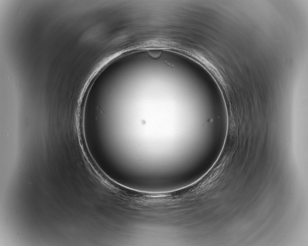 X0000094381486200711021217