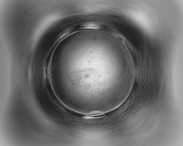 X0000094381487200711021217