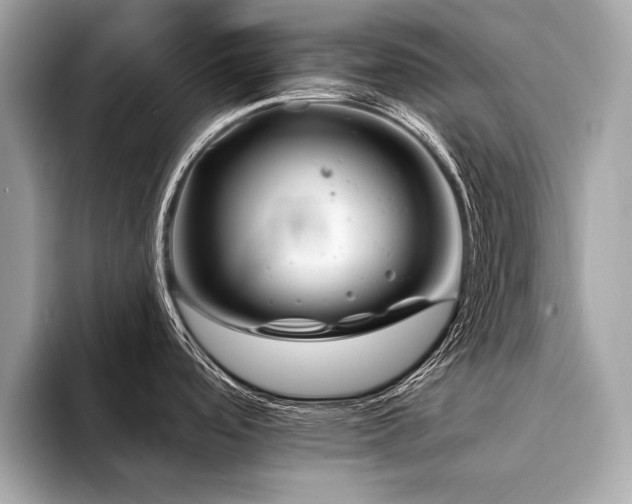 X0000094381488200711021217