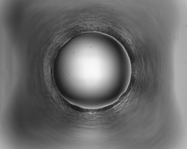 X0000094381489200711021216