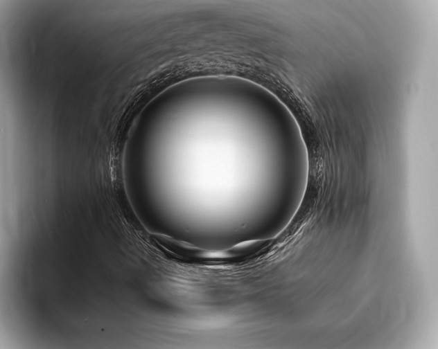 X0000094381490200711021216