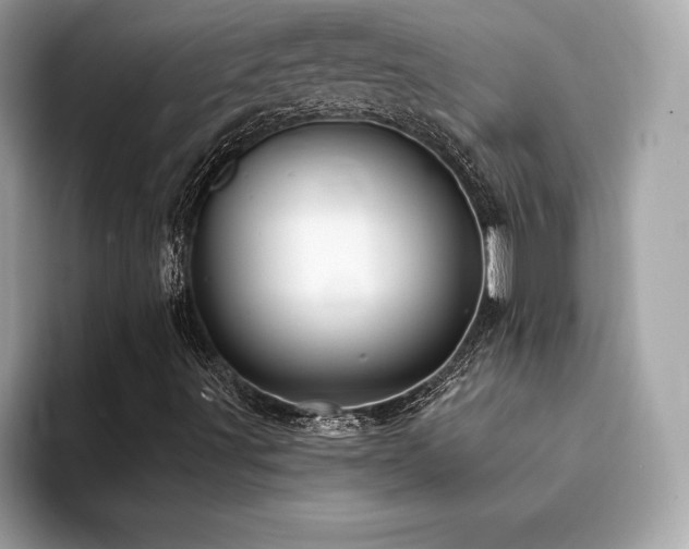 X0000094381491200711021216