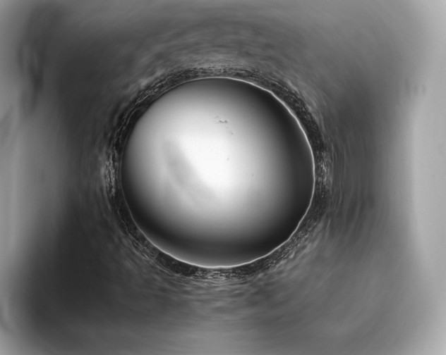 X0000094381493200711021216