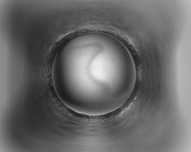 X0000094381494200711021216