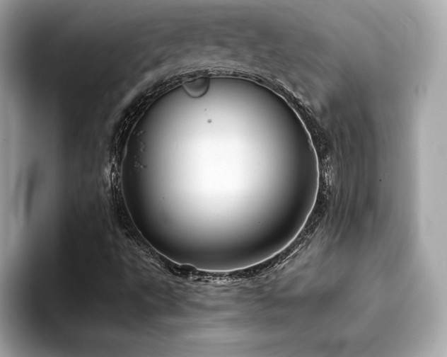 X0000094381495200711021216