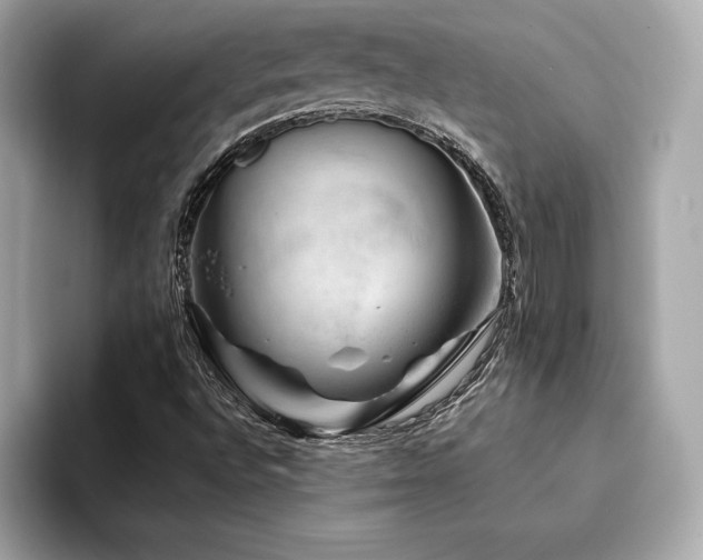 X0000094381496200711021216