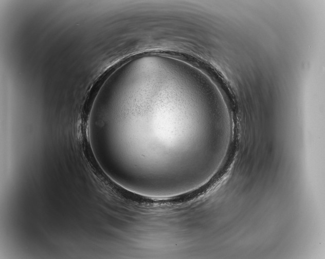 X0000094381497200711021216
