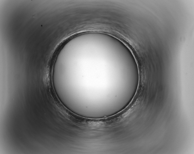 X0000094381498200711021216