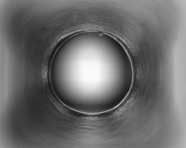 X0000094381499200711021216