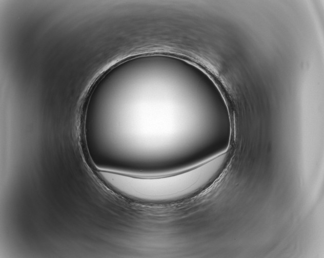 X0000094381500200711021216