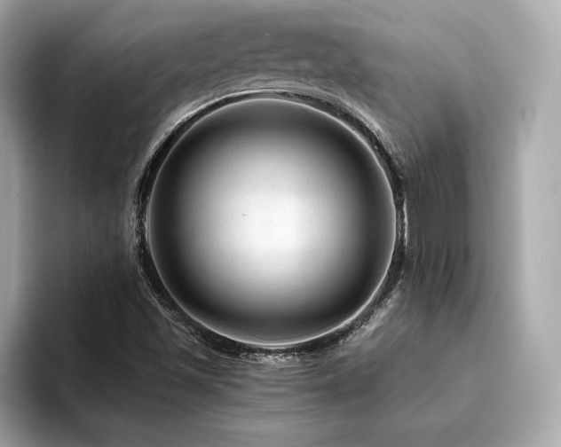 X0000094381501200711021216