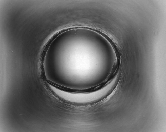 X0000094381502200711021216