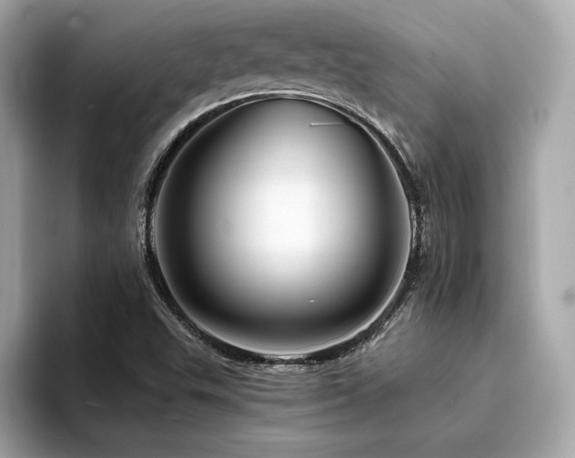 X0000094381503200711021216