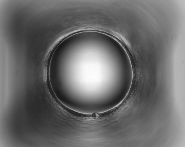 X0000094381504200711021216