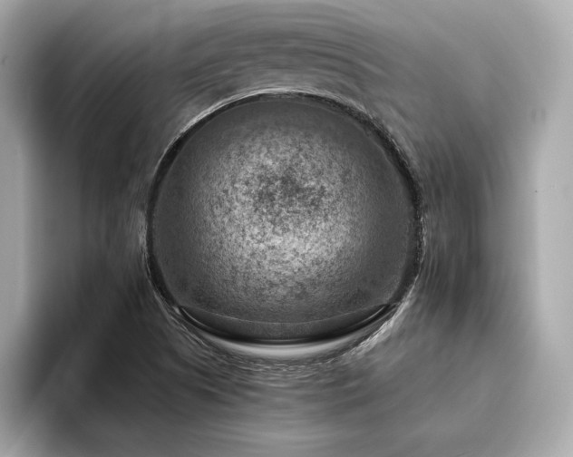 X0000094381505200711021216