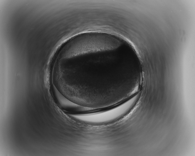 X0000094381506200711021216