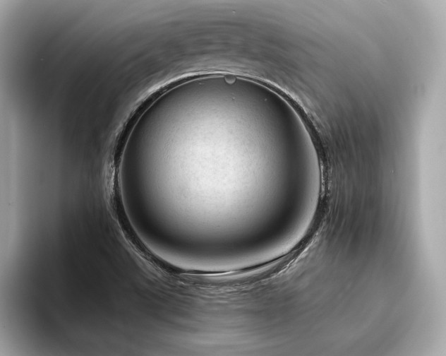 X0000094381507200711021217