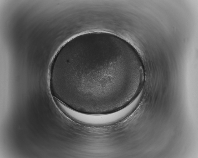 X0000094381508200711021217