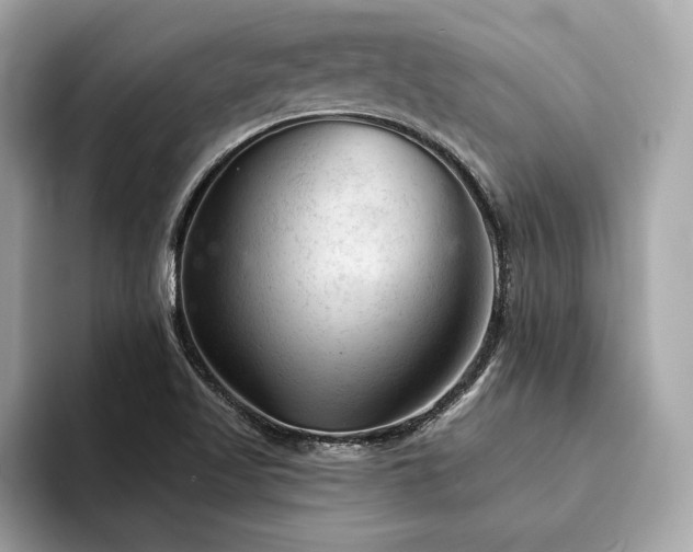 X0000094381509200711021217