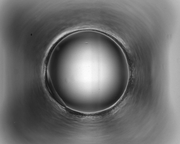 X0000094381510200711021217