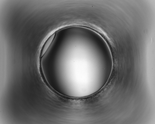 X0000094381512200711021217