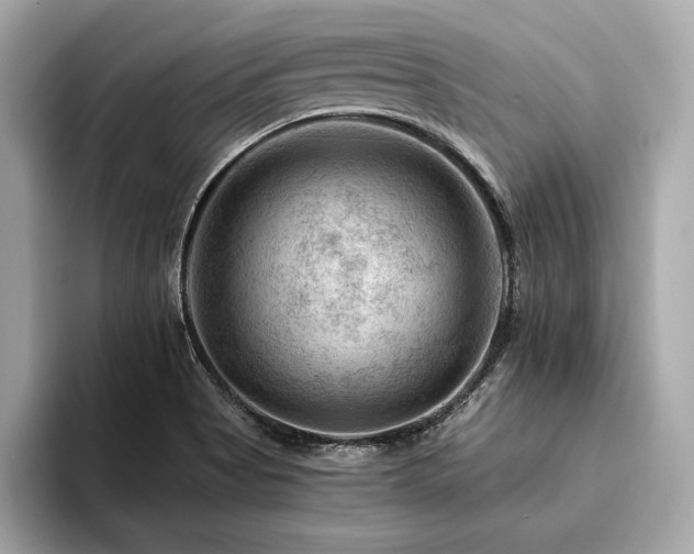 X0000094381513200711021217