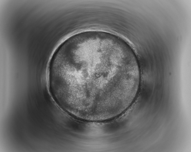 X0000094381514200711021217